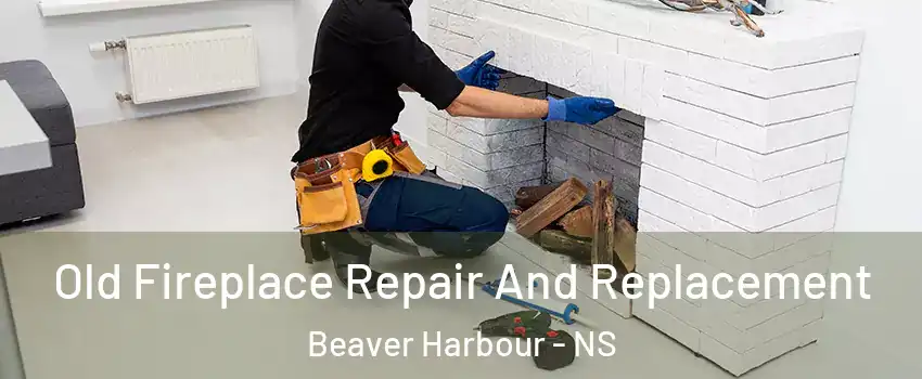  Old Fireplace Repair And Replacement Beaver Harbour - NS