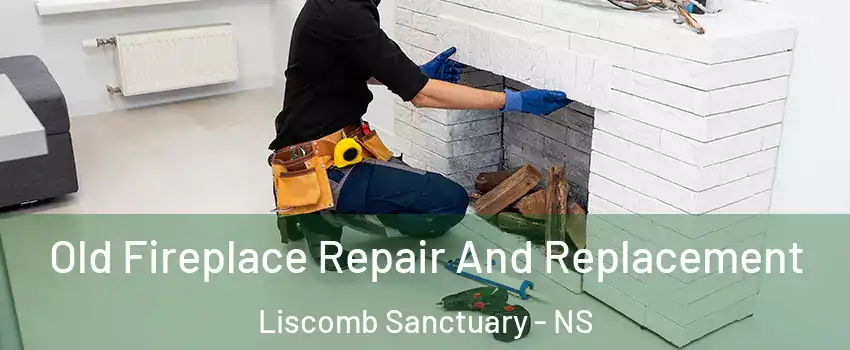  Old Fireplace Repair And Replacement Liscomb Sanctuary - NS