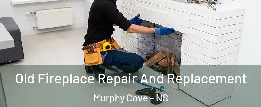  Old Fireplace Repair And Replacement Murphy Cove - NS