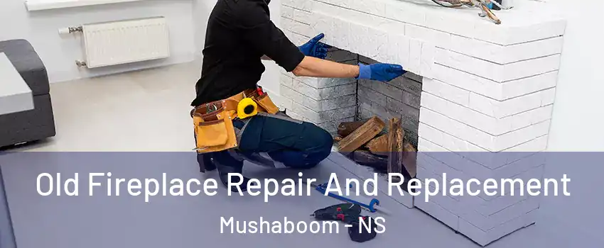  Old Fireplace Repair And Replacement Mushaboom - NS