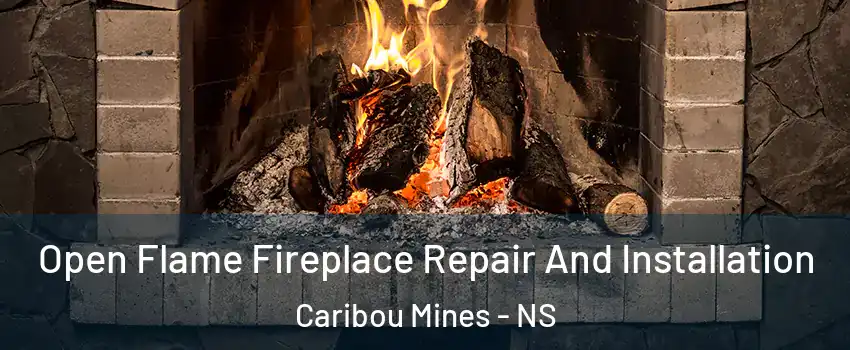  Open Flame Fireplace Repair And Installation Caribou Mines - NS