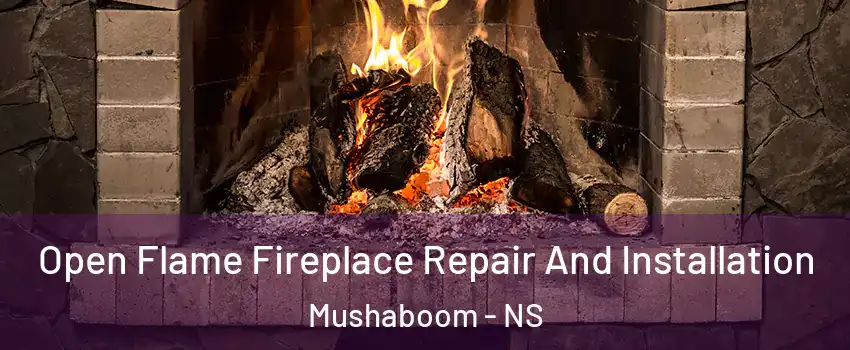  Open Flame Fireplace Repair And Installation Mushaboom - NS