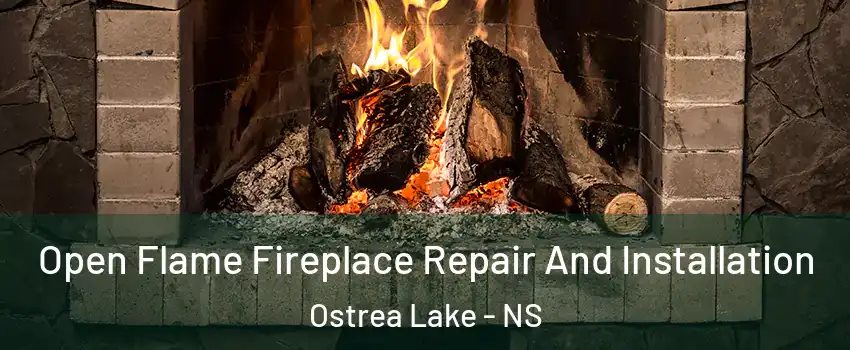  Open Flame Fireplace Repair And Installation Ostrea Lake - NS