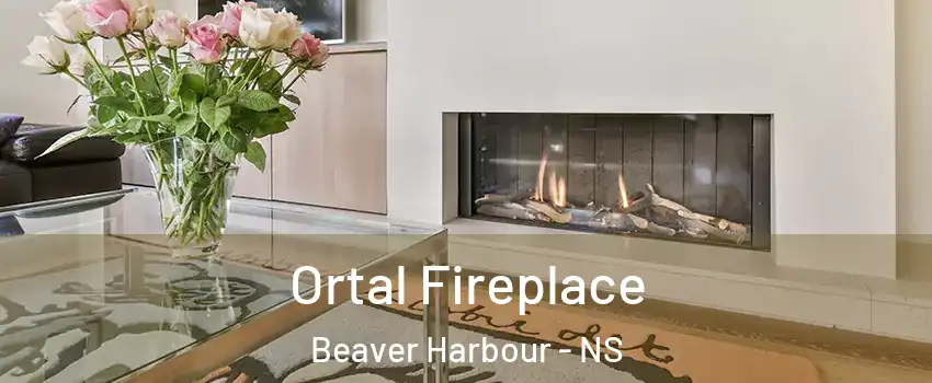 Ortal Fireplace Beaver Harbour - NS