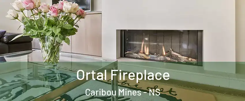 Ortal Fireplace Caribou Mines - NS