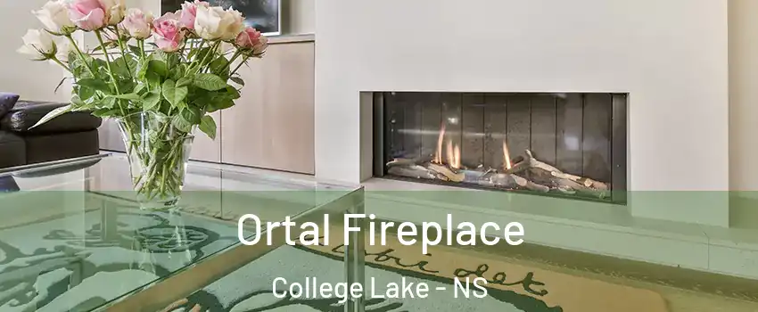 Ortal Fireplace College Lake - NS