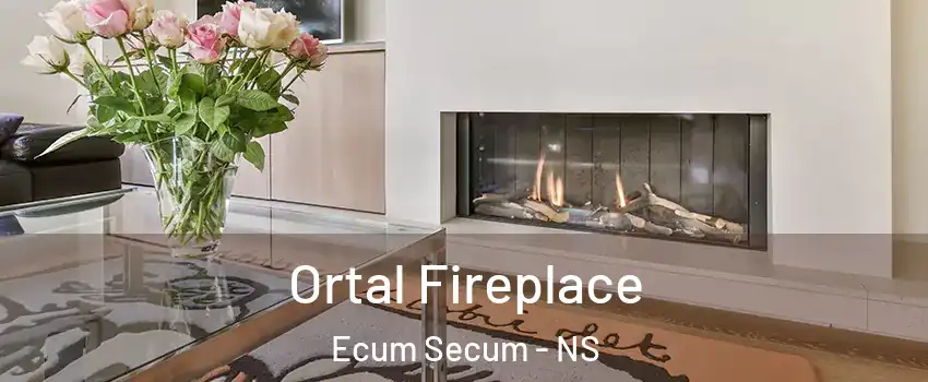 Ortal Fireplace Ecum Secum - NS