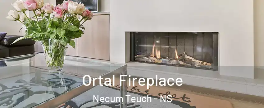 Ortal Fireplace Necum Teuch - NS