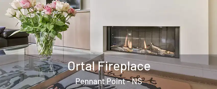 Ortal Fireplace Pennant Point - NS