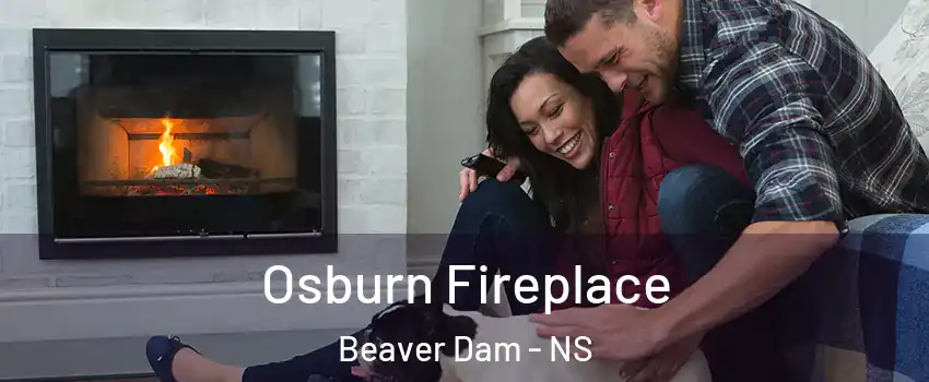  Osburn Fireplace Beaver Dam - NS
