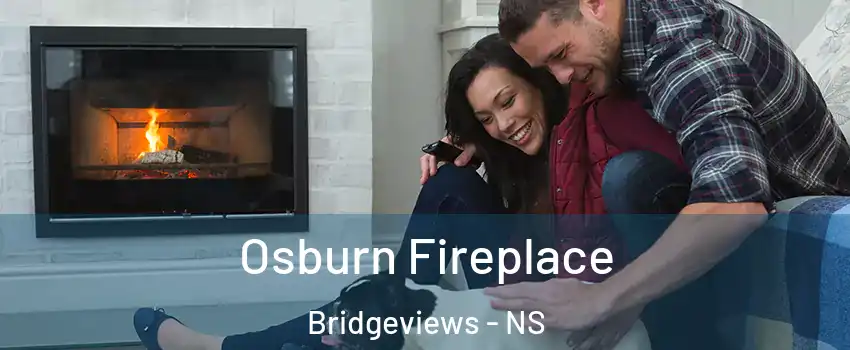  Osburn Fireplace Bridgeviews - NS