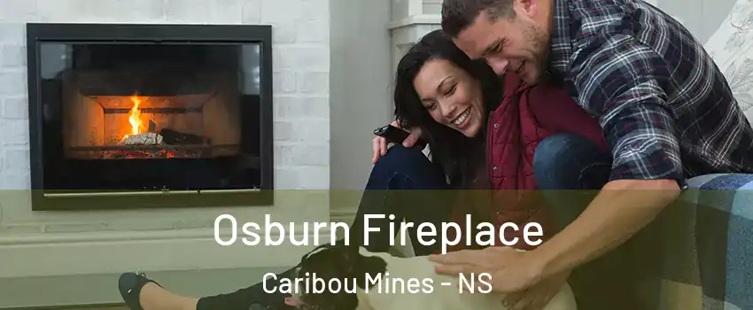  Osburn Fireplace Caribou Mines - NS