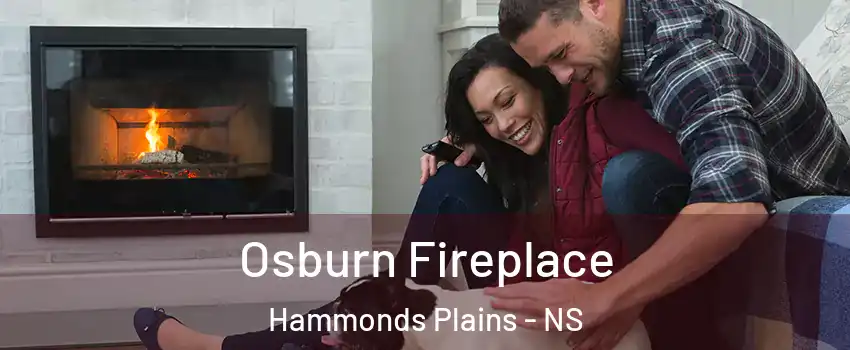  Osburn Fireplace Hammonds Plains - NS