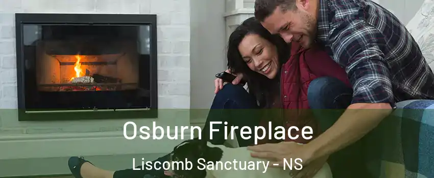  Osburn Fireplace Liscomb Sanctuary - NS