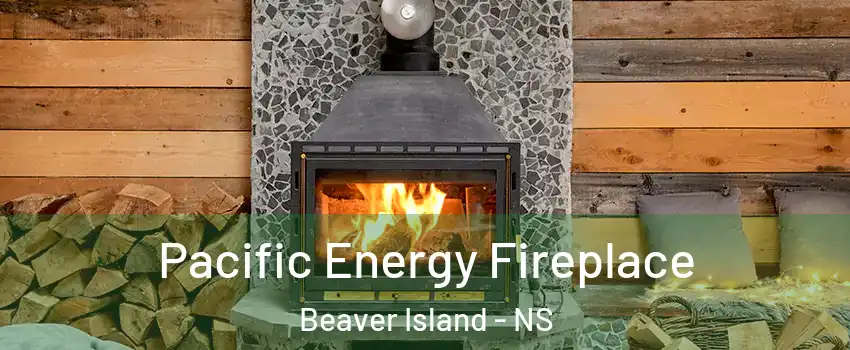  Pacific Energy Fireplace Beaver Island - NS