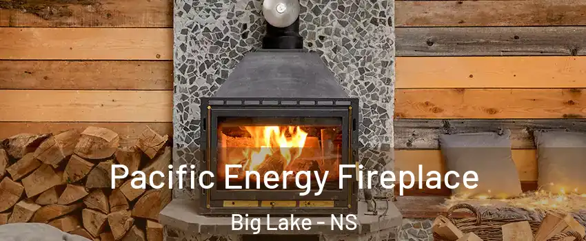  Pacific Energy Fireplace Big Lake - NS