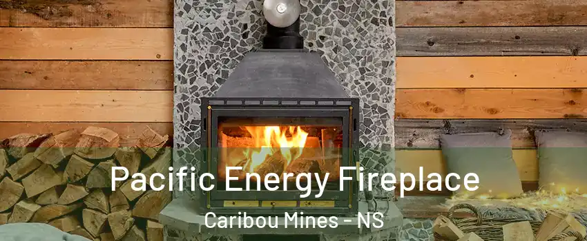  Pacific Energy Fireplace Caribou Mines - NS