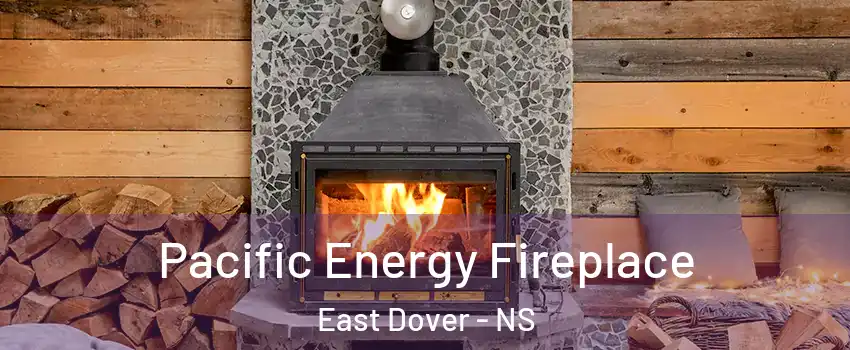  Pacific Energy Fireplace East Dover - NS