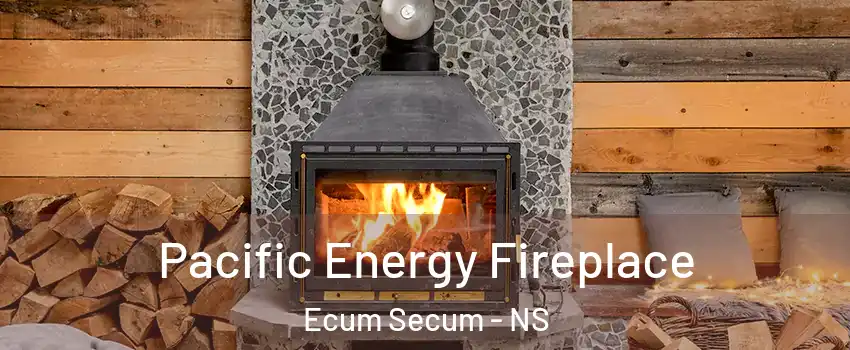  Pacific Energy Fireplace Ecum Secum - NS
