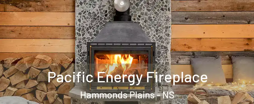  Pacific Energy Fireplace Hammonds Plains - NS