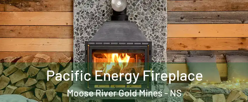 Pacific Energy Fireplace Moose River Gold Mines - NS