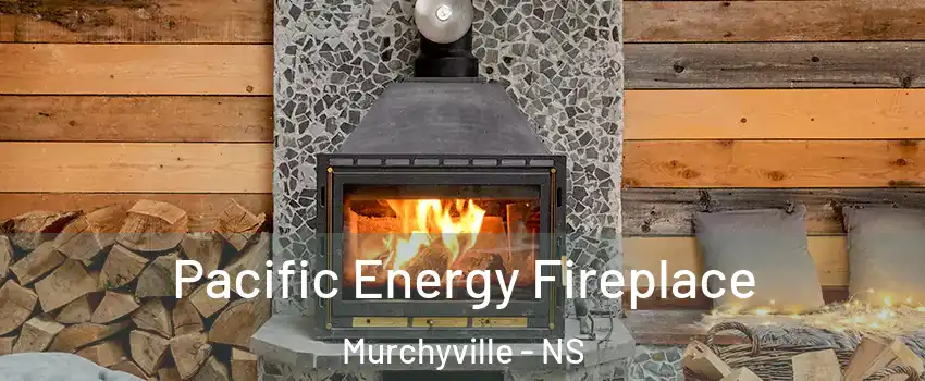  Pacific Energy Fireplace Murchyville - NS