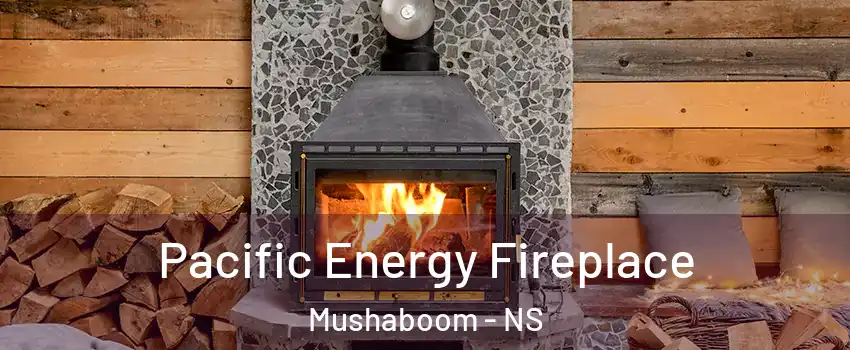  Pacific Energy Fireplace Mushaboom - NS