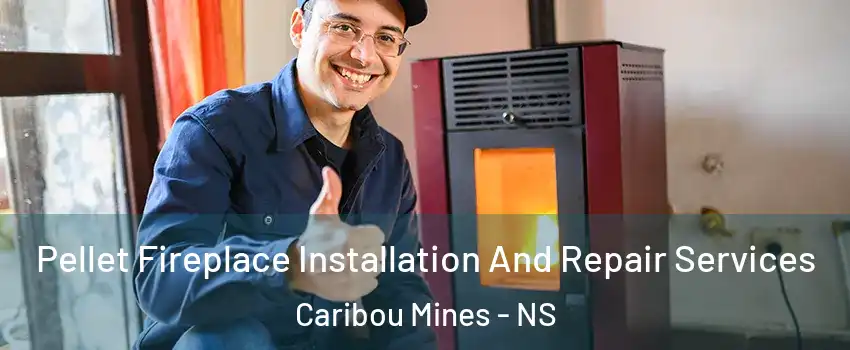  Pellet Fireplace Installation And Repair Services Caribou Mines - NS