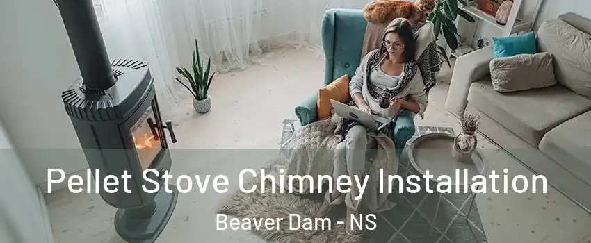  Pellet Stove Chimney Installation Beaver Dam - NS