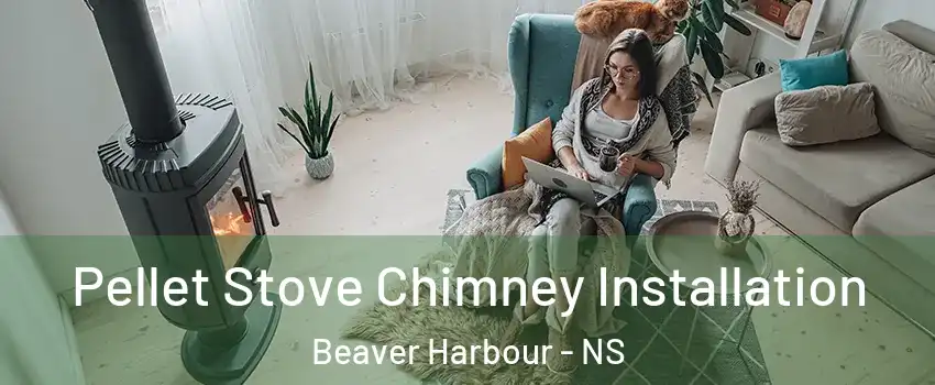  Pellet Stove Chimney Installation Beaver Harbour - NS
