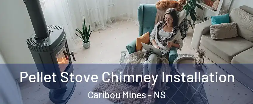  Pellet Stove Chimney Installation Caribou Mines - NS
