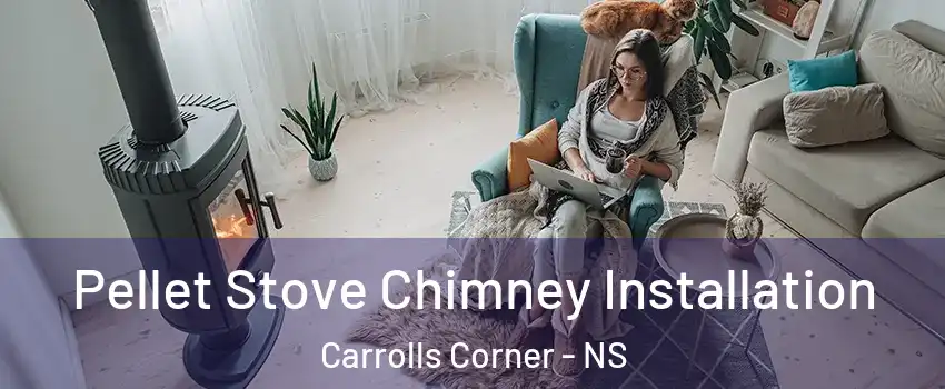  Pellet Stove Chimney Installation Carrolls Corner - NS