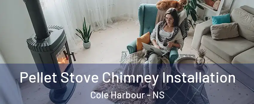  Pellet Stove Chimney Installation Cole Harbour - NS