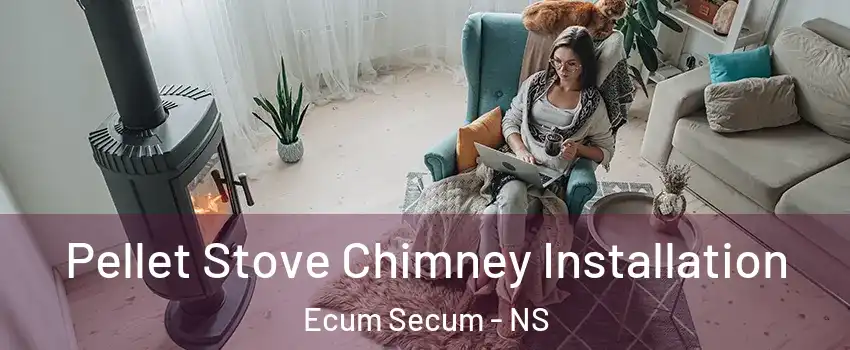  Pellet Stove Chimney Installation Ecum Secum - NS