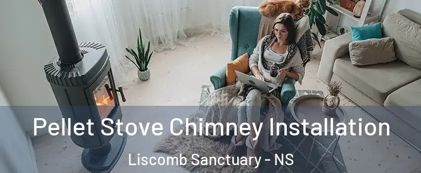  Pellet Stove Chimney Installation Liscomb Sanctuary - NS