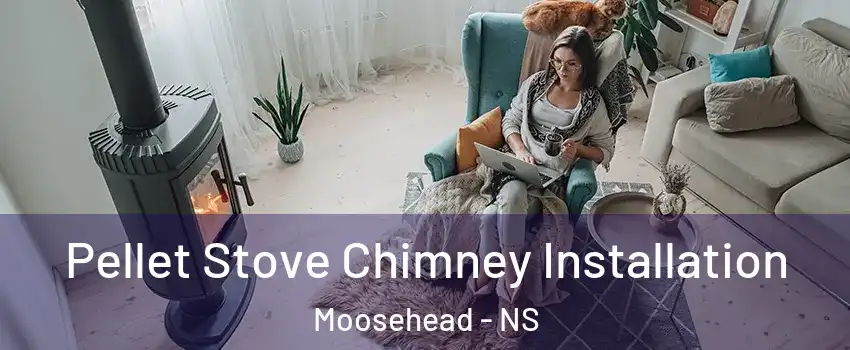  Pellet Stove Chimney Installation Moosehead - NS