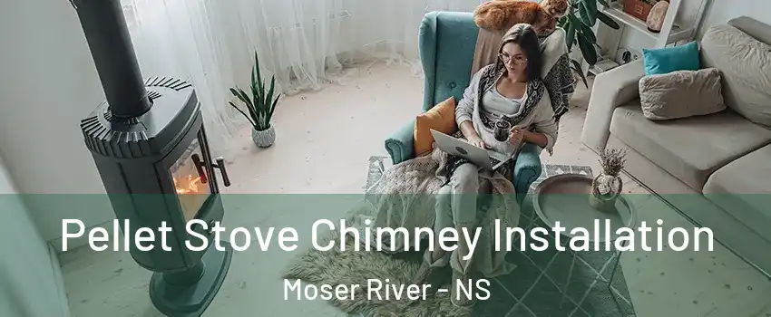  Pellet Stove Chimney Installation Moser River - NS