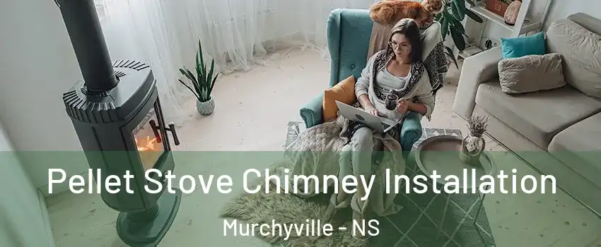 Pellet Stove Chimney Installation Murchyville - NS