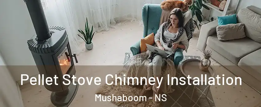  Pellet Stove Chimney Installation Mushaboom - NS