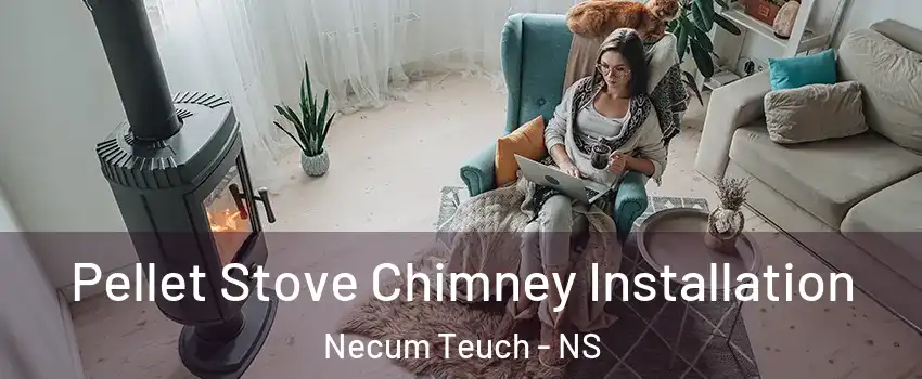  Pellet Stove Chimney Installation Necum Teuch - NS