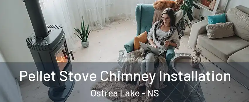  Pellet Stove Chimney Installation Ostrea Lake - NS