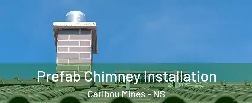  Prefab Chimney Installation Caribou Mines - NS
