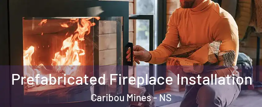  Prefabricated Fireplace Installation Caribou Mines - NS