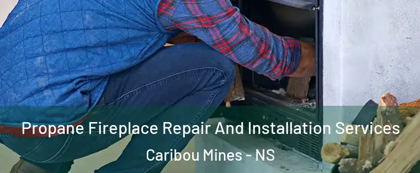 Propane Fireplace Repair And Installation Services Caribou Mines - NS