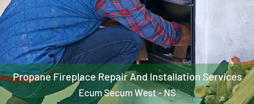  Propane Fireplace Repair And Installation Services Ecum Secum West - NS