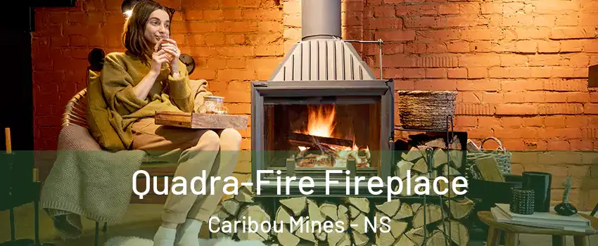  Quadra-Fire Fireplace Caribou Mines - NS