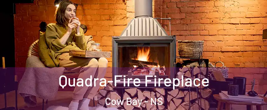  Quadra-Fire Fireplace Cow Bay - NS