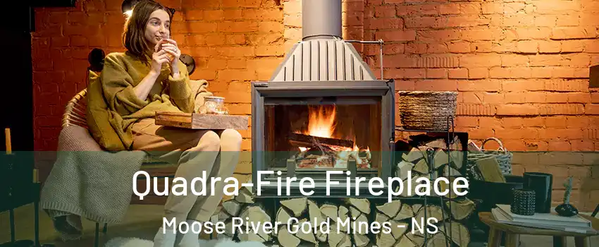  Quadra-Fire Fireplace Moose River Gold Mines - NS