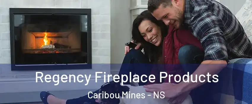  Regency Fireplace Products Caribou Mines - NS