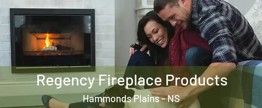  Regency Fireplace Products Hammonds Plains - NS